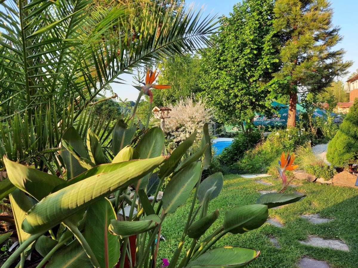 Penzion Zahrada Nad Rekou, Restaurace A Kavarna - Parkovani Gratis Zlatá Koruna 외부 사진