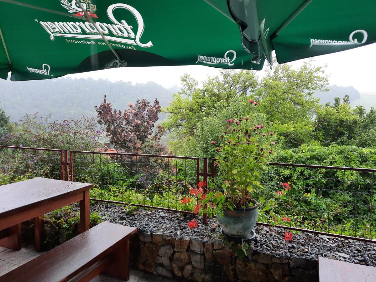 Penzion Zahrada Nad Rekou, Restaurace A Kavarna - Parkovani Gratis Zlatá Koruna 외부 사진