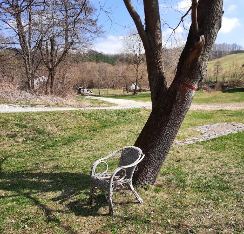 Penzion Zahrada Nad Rekou, Restaurace A Kavarna - Parkovani Gratis Zlatá Koruna 외부 사진