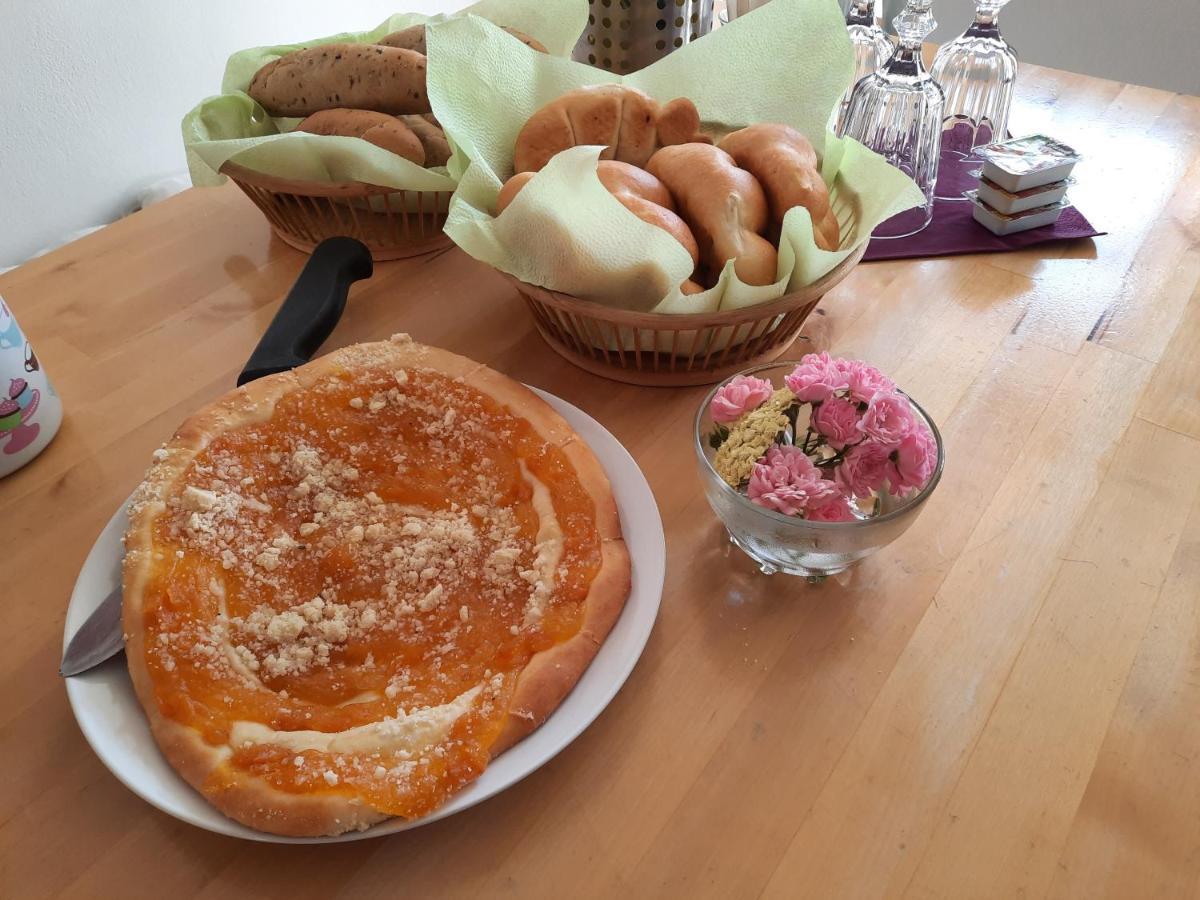 Penzion Zahrada Nad Rekou, Restaurace A Kavarna - Parkovani Gratis Zlatá Koruna 외부 사진
